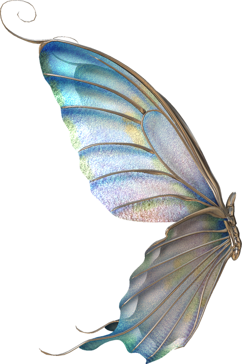 3D Butterfly Illustration 